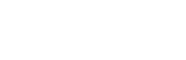 Schwalbe Tires